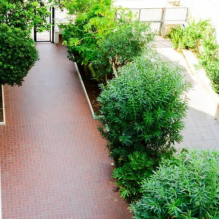 Baleniere 92 * Roma